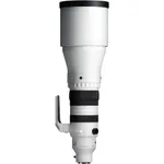 Sigma 300-600mm F4 DG OS Sports Lens - Sony E
