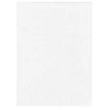 ProMaster White 6' x 10' Backdrop