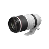 Canon RF 100-500mm F4.5-7.1 L IS USM Lens