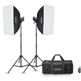 Godox MS300-V 2 Light Studio Flash Kit