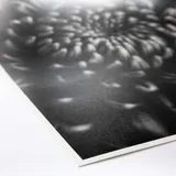 ProMaster Fine Art Baryta Natural Satin Paper 11"x17" - 20 Sheets