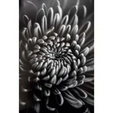 ProMaster Fine Art Baryta Natural Satin Paper 11"x17" - 20 Sheets