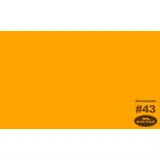 Savage Widetone Seamless Background Paper - #43 Marmalade - 53" x 12yd
