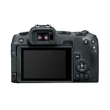 Used Canon EOS R8 Body