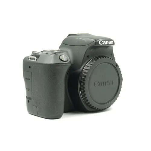 Used Canon Rebel SL2 Body