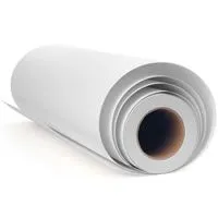Epson Exhibition Fiber Paper 24"x50' Roll