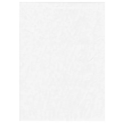 ProMaster White 6' x 10' Backdrop