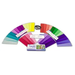 Rosco CalColor Flash Pack