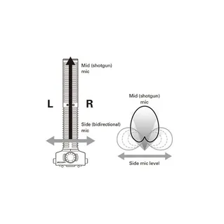 Zoom SSH-6 Stereo Shotgun Mic