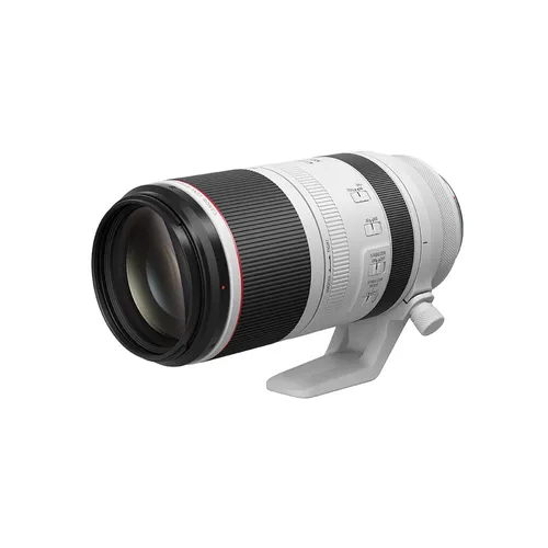Canon RF 100-500mm F4.5-7.1 L IS USM Lens