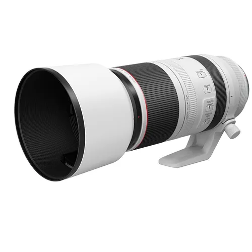 Canon RF 100-500mm F4.5-7.1 L IS USM Lens