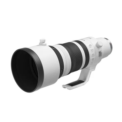 Canon RF 100-300mm f/2.8 L IS USM Lens