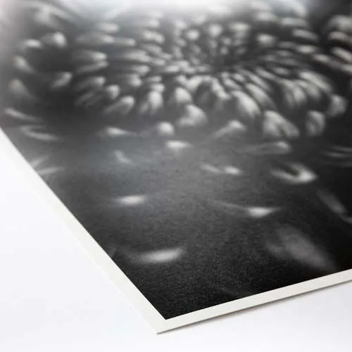ProMaster Fine Art Baryta Natural Satin Paper 8.5"x11" - 20 Sheets