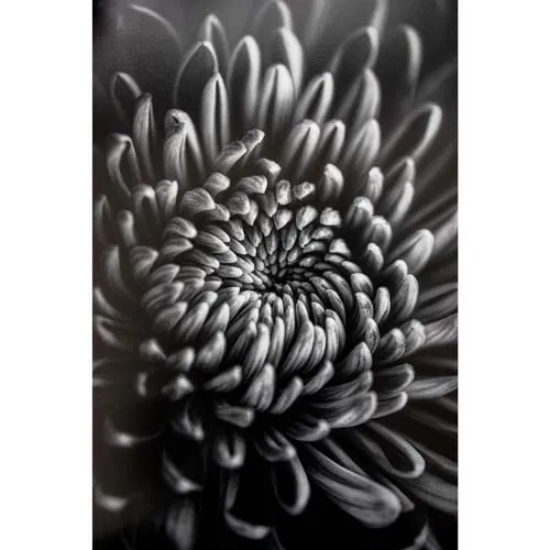 ProMaster Fine Art Baryta Natural Satin Paper 8.5"x11" - 20 Sheets