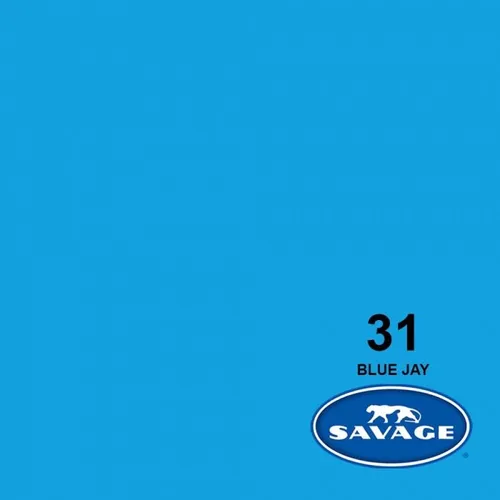 Savage Widetone Seamless Background Paper - #31 Blue Jay - 107"x12 yds