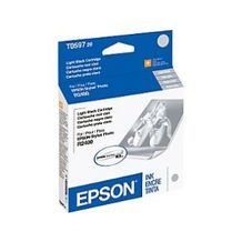 Epson UltraChrome K3 Light Black Ink Cartridge for Stylus Photo R2400 Printer