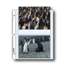 Print file to hold 4 5x7 prints