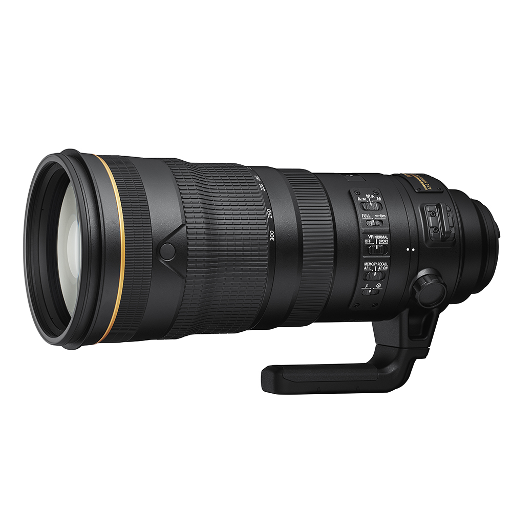 Nikon AF-S NIKKOR 120-300mm f/2.8E FL ED SR VR Lens