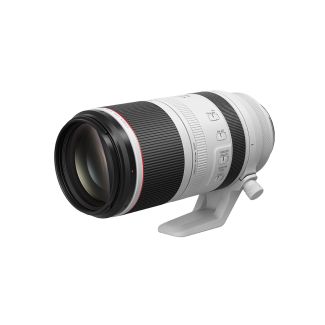 Canon RF 100-500mm F4.5-7.1 L IS USM Lens